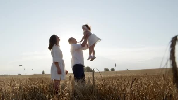 Młoda szczęśliwa rodzina spędza wspólnie czas na spacerze po polu, radosny dzień. — Wideo stockowe