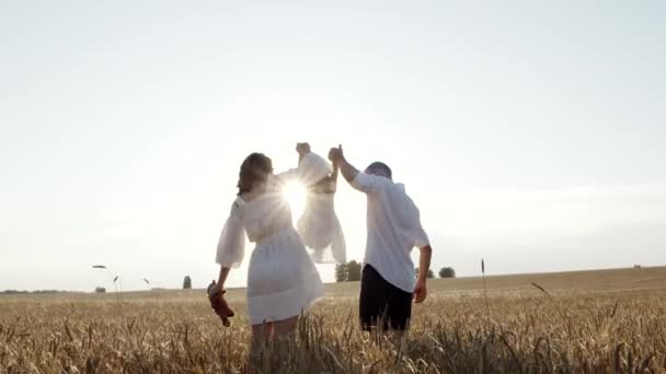Visão traseira de boa mãe, pai e filha, brincando no prado ao sol. — Vídeo de Stock