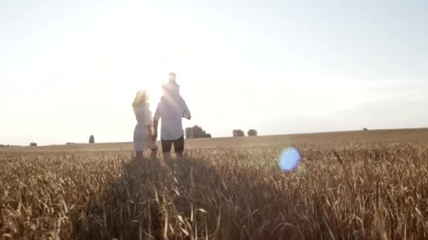 Visão traseira dos pais e da criança andando juntos no campo e se comunicando. — Vídeo de Stock