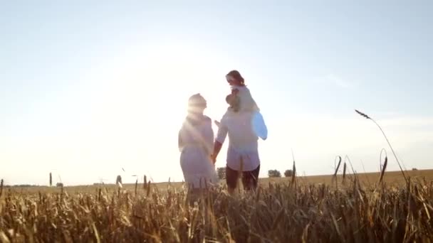 Zadní pohled na rodinu, jak jde společně přes zlaté pole, letní prázdniny. — Stock video