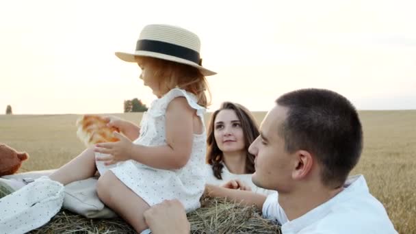 Vacaciones al aire libre con un niño pequeño y bonito en el campo, prado de trigo por la noche. — Vídeo de stock