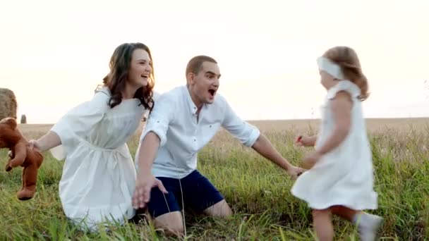 Gelukkig liefhebbende ouders spelen met kleine leuke dochter buiten op het veld in de natuur. — Stockvideo