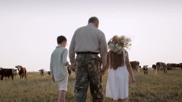 Bakifrån av farfar och barnbarn går tillsammans över betesmark. — Stockvideo