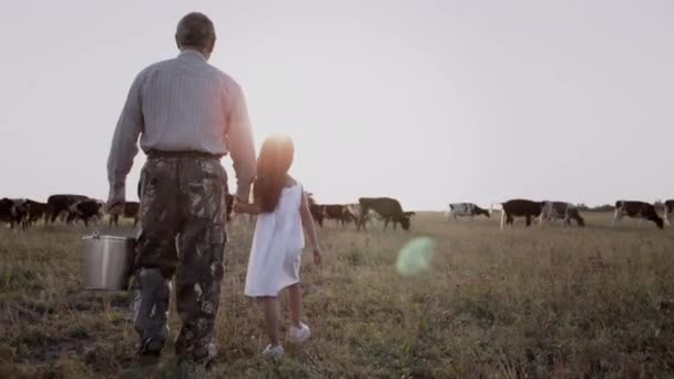 Вид сзади на милую маленькую девочку и старого фермера, прогуливающихся по летнему полю. — стоковое видео