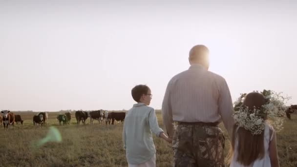 Pandangan belakang kakek dan cucu berjalan bersama di padang rumput. — Stok Video