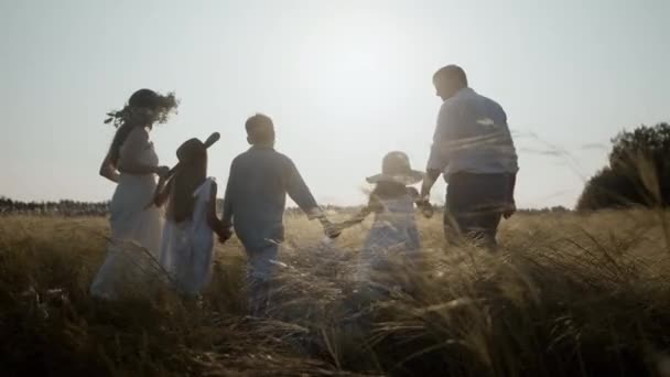 Vue arrière d'une grande famille heureuse marchant à travers le champ en se tenant la main. — Video