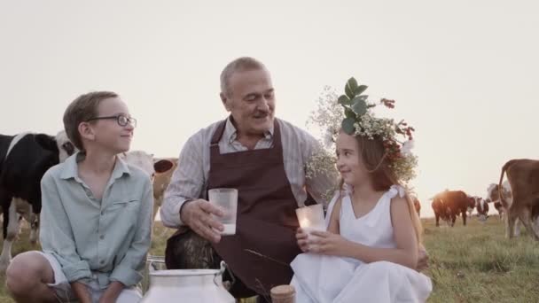 Az idős nagyapa és a boldog unokák tejet isznak a nyári mezőn naplementekor.. — Stock videók
