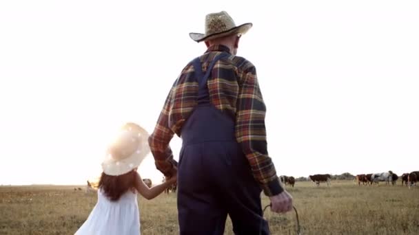 Šťastná rodinná procházka: dědeček, vnučka na poli přírodního kravského mléka — Stock video