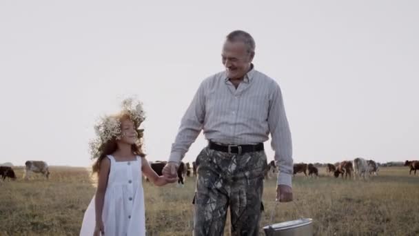 Šťastný dědeček, malá vnučka procházka venku, venkovská farma mlékárna, kravské mléko — Stock video