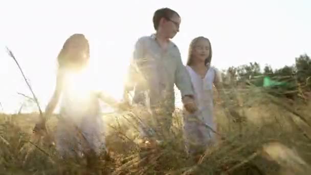 Happy smiling children walking across summer field holding hands at sunset. — Stockvideo