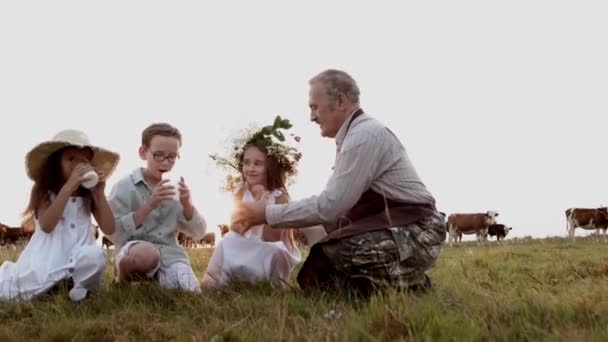 Happy old grandfather, children together drink natural organic healthy cow milk — Stock Video