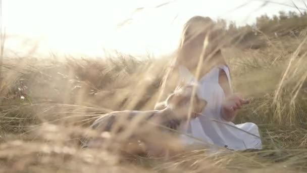 Tender moment of caring lovely girl petting small cute dog on meadow at sunset. — Stock video