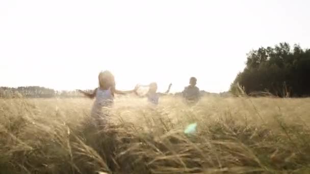 Jeu drôle de trois petits enfants sur le champ doré d'été dans la campagne. — Video