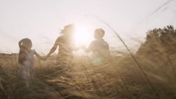 Мать и маленькие дети бегут по пшеничному полю, держа руки на солнце. — стоковое видео