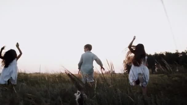 Obekymrade barn springer över fältet med bedårande husdjur på vacker solnedgång. — Stockvideo