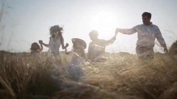 Большая семейная прогулка по полю держа руки на фоне яркого солнечного света. — стоковое видео