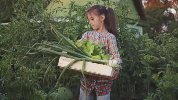 Portrait Happy Smiling Child Girl Eating Delicious Natural Vegetables Holding — Wideo stockowe