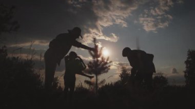 Silhouette of happy family planting, watering trees in forest at sunset outdoor. Volunteers together help nature : reforestation, agriculture work, vegetation growthing, sprout growing for planet safe