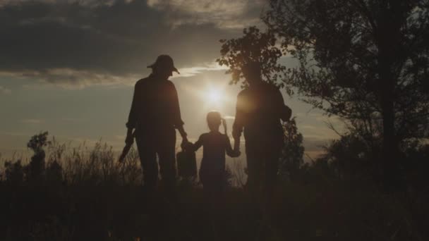 幸せな祖父母のシルエット 子供の女の子は一緒に外の日没で植物の木の手を握って森のフィールドに行く ボランティア家族活動 森林再生 自然環境への配慮 — ストック動画