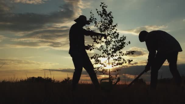 Silhouettes Happy Old Man Woman Together Watering Digging Plant Tree — Αρχείο Βίντεο