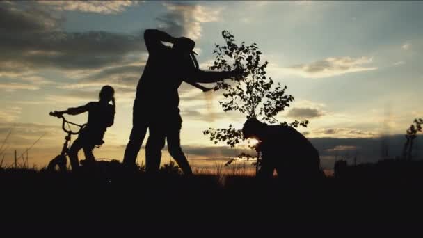 Silhouette Volunteers Group Different Human Together Watering Digging Planting Tree — Video