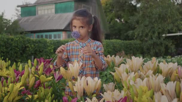 Happy Smiling Kid Girl Smells Fresh Flowers Grandmothers Cottage Outdoors — Stockvideo