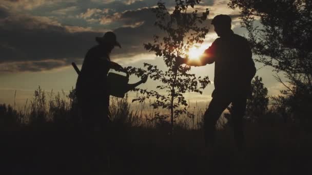 Silhouettes Old Grandparents Little Girl Together Planting Tree Field Sunset — Vídeo de stock