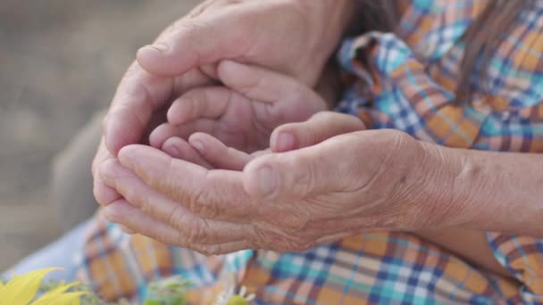 Candid Feelings Embraces Two Old Happy Lovers Together Sitting Lake — Wideo stockowe