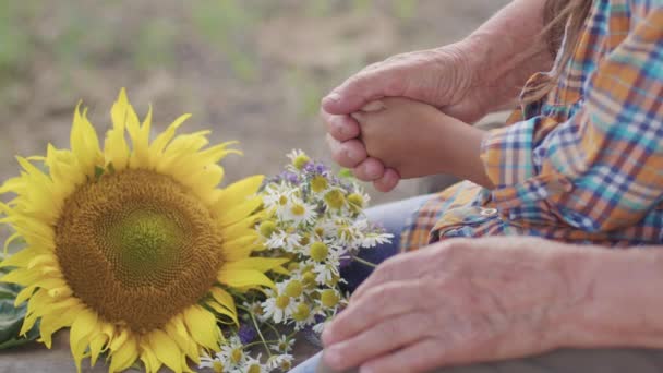 Old Affectionate Gentle Husband Kiss Hand Lovely Wife Sitting Bench — Video