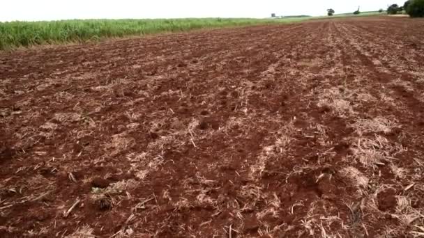 Sugarcane Planting Preparation Project Systematization Applied Soil Technology Uses Gps — Stock Video