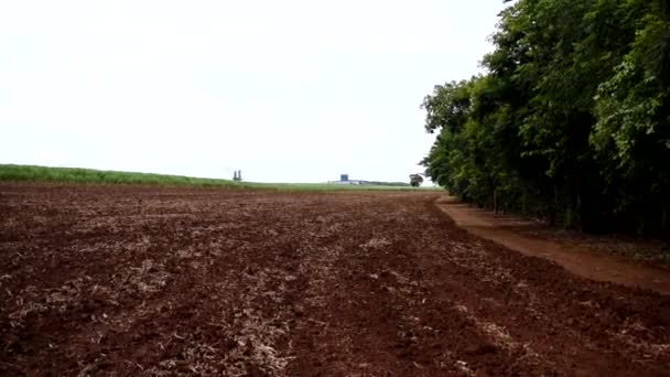 Fazenda Plantação Cana Açúcar Próxima Fragmento Floresta Nativa Solo Preparado — Vídeo de Stock