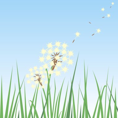Dandelion in the grass clipart