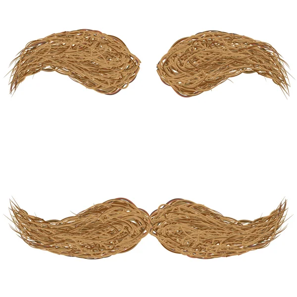 Mustasch och ögonbryn, brun — Stockfoto