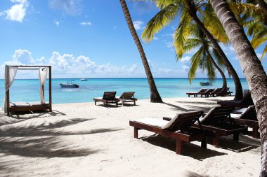 Palmiye ağaçları, beyaz gıcırtılar ve dinlenmek için güneş yatakları olan bir kumsal. Denizde tatil.. 