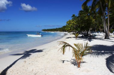 Beruga yakınlarındaki gök mavisi denizde beyaz kumlu beyaz kayıklar. Dominik Cumhuriyeti 'ndeki Saona Adaları' nın Karayip kıyıları..