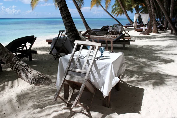 Deniz kenarında bir restoran. Saona Adası 'ndaki Karayipler kıyısında tatil.