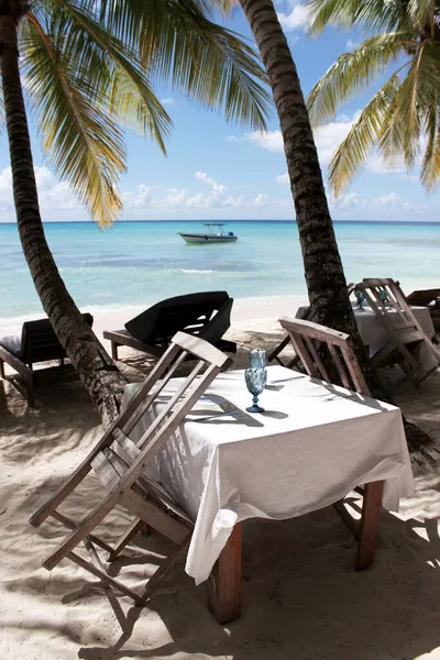 Deniz kenarında bir restoran. Saona Adası 'ndaki Karayipler kıyısında tatil.