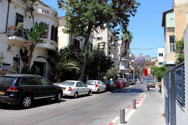 Tel Aviv 'de boş bir sokak. Palmiye ağaçları ve park edilmiş arabalarla dolu küçük bir cadde. Tel Aviv, İsrail