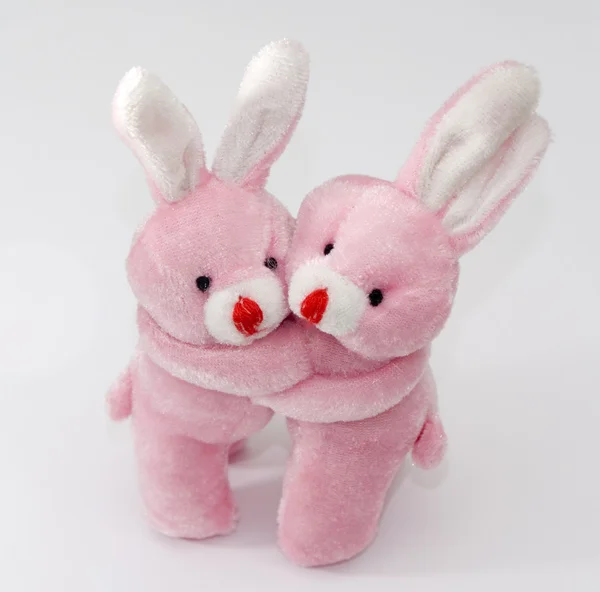 Två kaniner kram — Stockfoto
