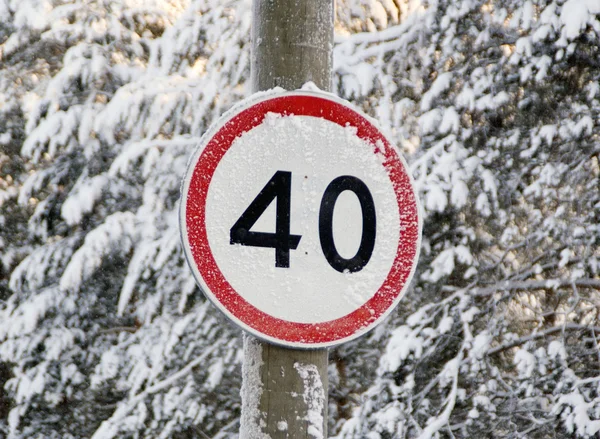 Hastighetsgräns tecken på en skogsväg — Stockfoto