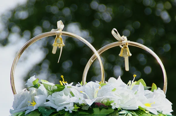 Decorações de casamento, alguns anéis — Fotografia de Stock