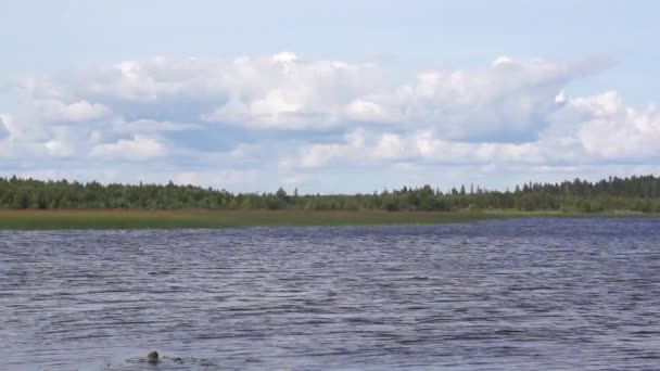 Ciel nuageux et lac d'été sauvage 