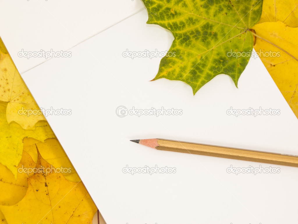 White sheet and pencil on maple leaves
