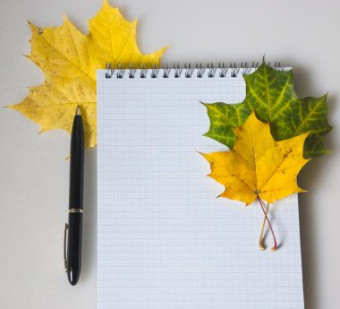 Beyaz notebook ve akçaağaç yaprağı