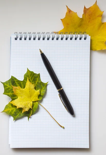 Cuaderno y hojas de arce de otoño —  Fotos de Stock