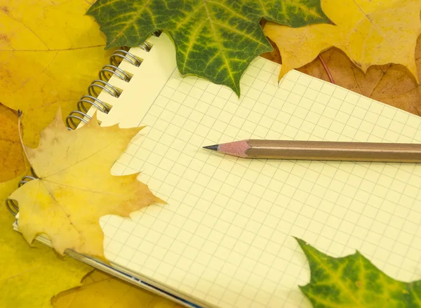 Copybook y lápiz sobre hojas de arce de colores — Foto de Stock