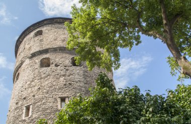 Ortaçağ kulesinde tallin