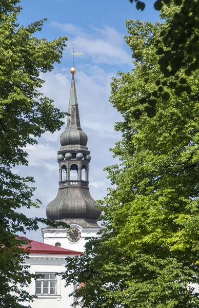 La Cattedrale di Santa Maria in Tallinn — Foto Stock