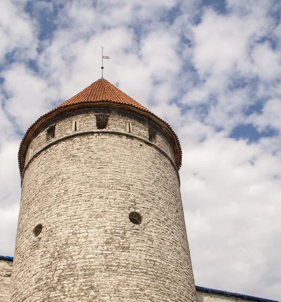 Башня крепости в Таллине — стоковое фото