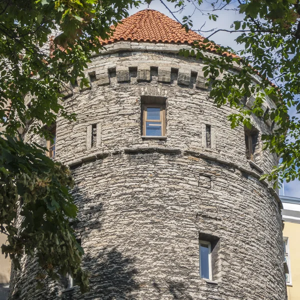 Antigua torre fortaleza medieval en Tallin — Foto de Stock